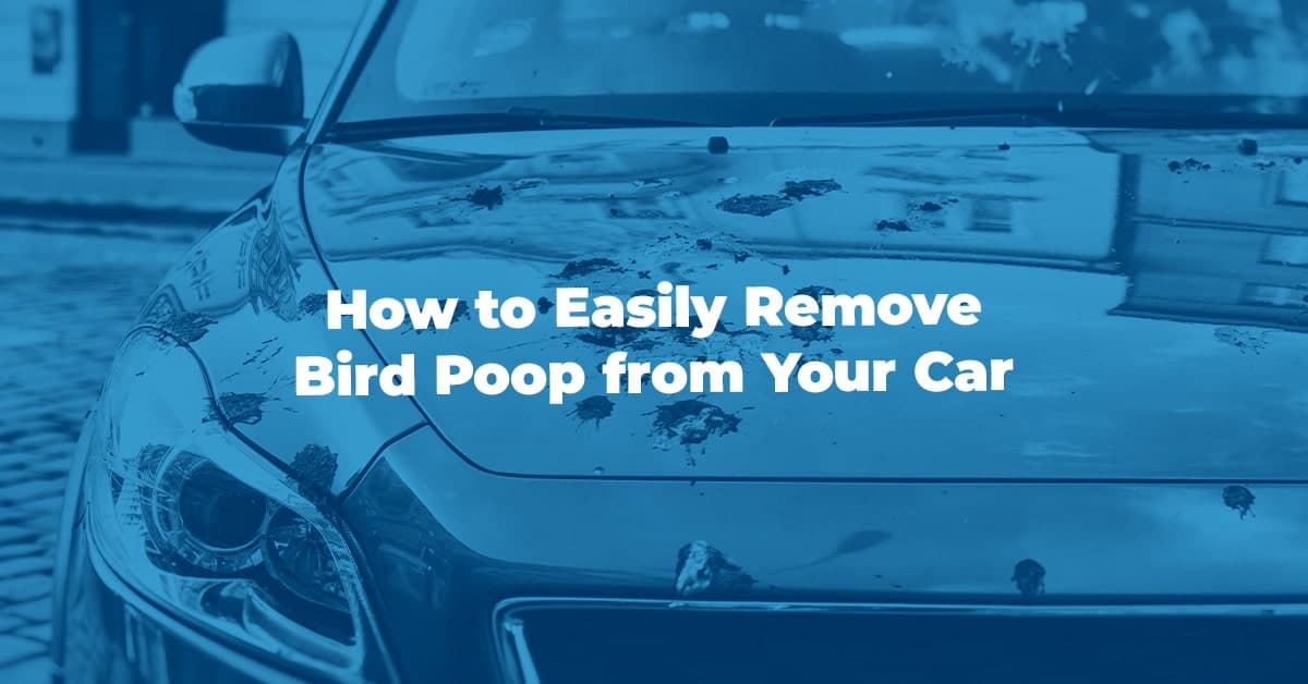 The article title over a car covered in bird poop, in a blue overlay.