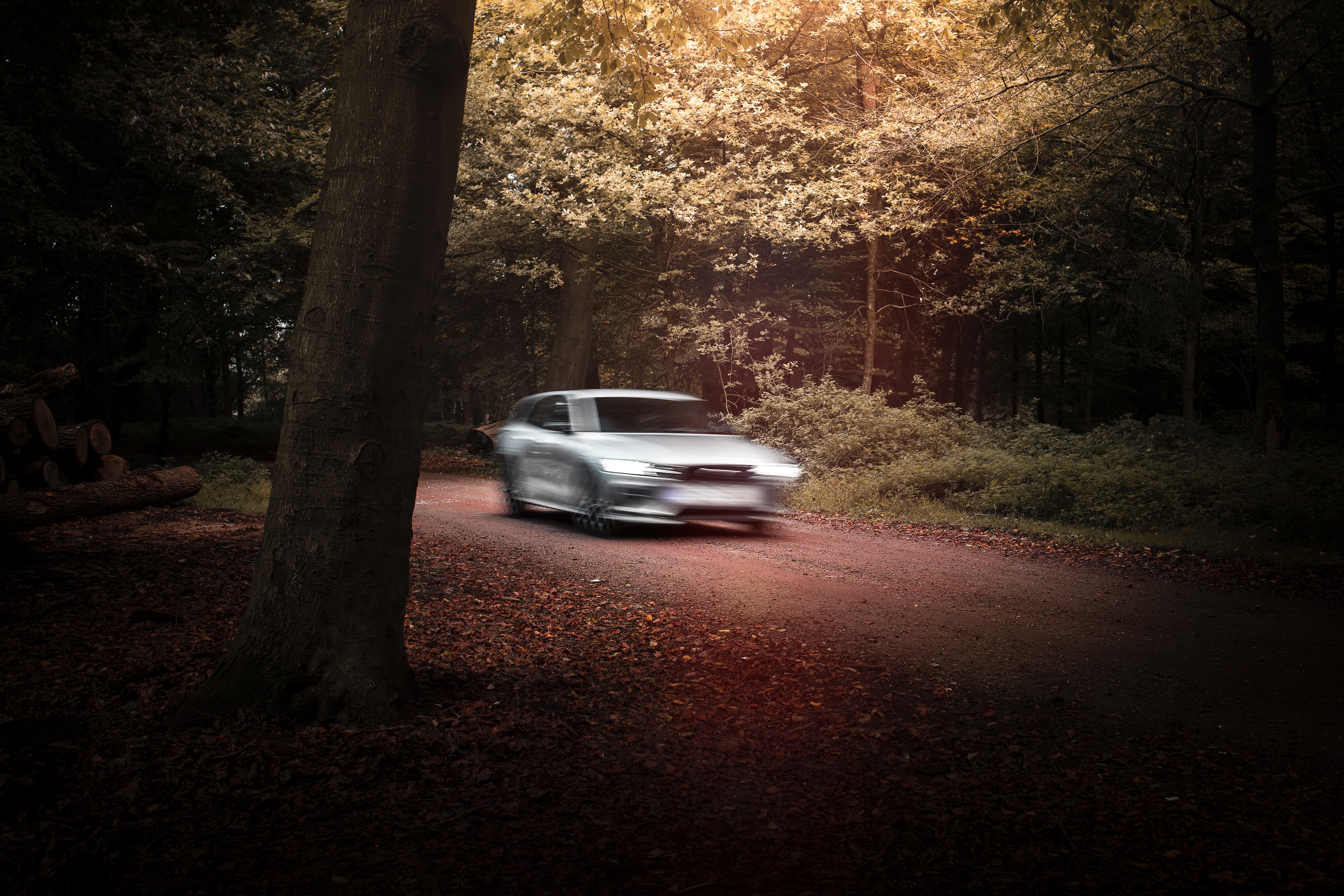 A car driving very quickly through a woodland road.